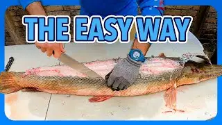 How to clean and fillet an alligator gar. (Delicious)!
