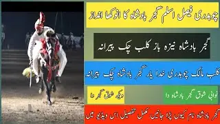 Ch Fasial Aslam Gujjar Badsha Farm House || Chak Peerna Kharian Gujrat || 2023