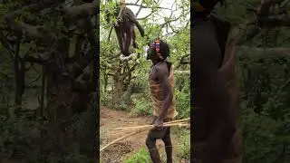 When the Forest Provides: A Joyful Return