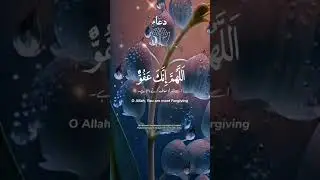 Allah Knows Your Pain &ndash; Don&rsquo;t Give Up 🤍