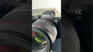 Sony a7iii + Samyang 85mm f1.4 #sony #camera #photography #photooftheday #trending #yourubeshorts
