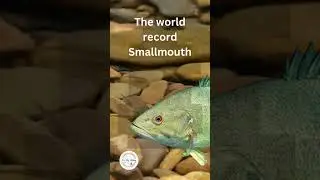 What is the World Record Smallmouth Bass?