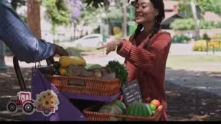 Nutraceuticals Education Series   introduction part 1   October 2024