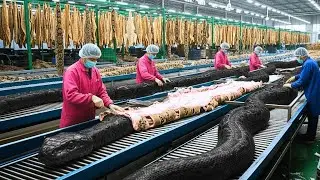 Inside a Modern Snake-Leather Factory: How Premium Textured Material Is Made &ndash; Full Process
