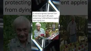 A retired engineer named Tom Brown has spent 25 years protecting 1200 different apple from dying out