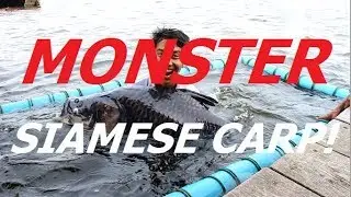 MONSTER Siamese Carp! New Bungsamran - JKT Fishing Guide Special Episode