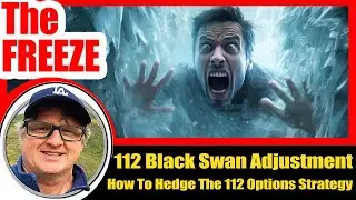 112 Options Trading Strategy Black Swan Hedge & Adjustment