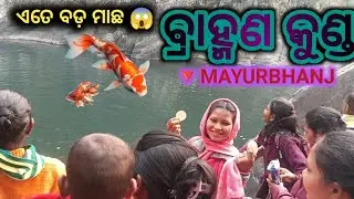 BRAHMANKUND WATER FALL🐋🐟😱||New picnic spot ||Hidden waterfall ||Bangiriposi/Mayurbhanj ||