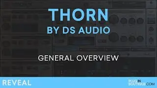 Thorn by DS Audio | Review of Features, Presets and Tutorial