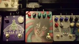 Fuzzrocious Custom 