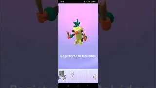 Evolve Grookey hundo lv35 #pokemongo
