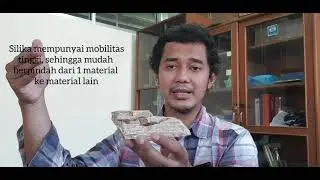 Asal mula fosil kayu