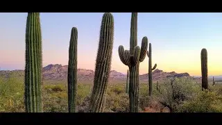 Hiking - Superstition Mountains - Carney Springs Trail to Wave Cave (Drone HD)