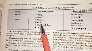 Pollination  And Pollinating Agent 💐⚘️