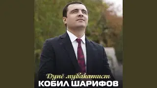 Дунё мувакатист