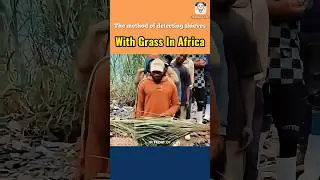The method of detecting thieves with grass in Africa
