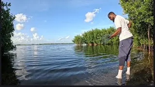 I Tried Some Local Saltwater Fishing Spots Catch$Cook
