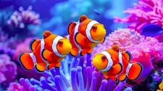 The Best 4K Aquarium - Dive Into The Mesmerizing Underwater Realm, Sea Jellyfish, Coral Reefs. #76