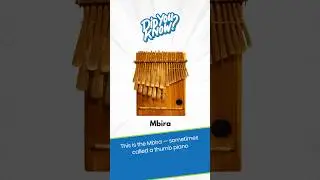 🎶 What Is the Mbira? (African Thumb Piano) | Musical Minute | Green Bean's Music