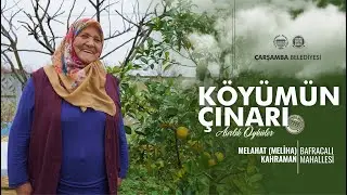 KÖYÜMÜN ÇINARI