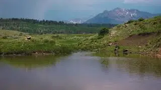 Neil Young / Crazy Horse - Song Of The Seasons (Official Music Video)