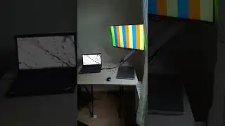 monitor color test. Do not accept any monitor without color testing. #gaming #shorts