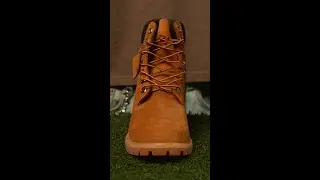 Premium 6-Inch Waterproof Boot | Timberland
