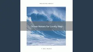 Emerge Yourself in the Calm Waves and Let Go with Bird Tweets