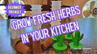GROW FRESH HERBS FAST!!! BEGINNER FRIENDLY HYDROPONICS #hydroponicsystem #freshherbs