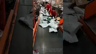 Super Fast Parcel Sorting || Inside a Delivery Company&rsquo;s Workflow