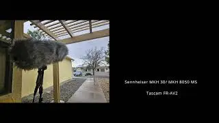 Ambient recording/Field Recording/ Sennheiser MKH30-8050/ MKH 8030-8040 MS