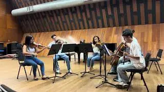 Primer Mov / Quinteto para Clarinet, Mozart 