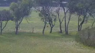 Field & Game Westernport -
