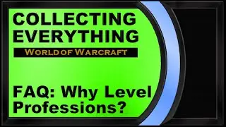 FAQ - Why are you leveling so many gatherers and crafters (professions)?