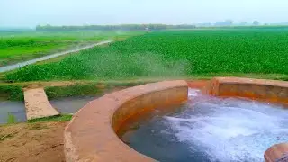 beautiful weather during fog in my village