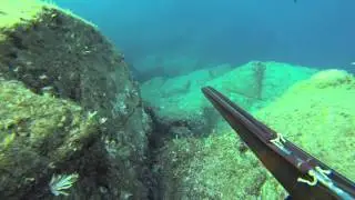 Speardiving (armed freediving) on Elba (ITA) 2013 / 09 HD
