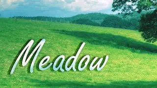 meadow vibes