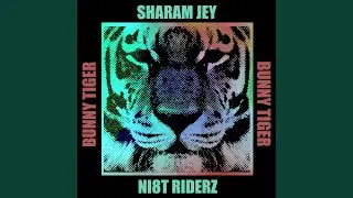 Ni8t Riderz