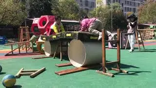True Play