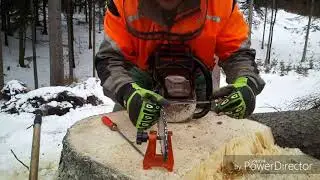 Working in forest, 16-2019, Im wald arbeiten, Práce v lese 🇨🇿