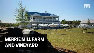 Merrie Mill Farm and Vineyard located in Keswick, Virginia offers a unique experience