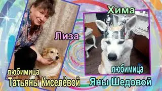 Хвостатое счастье в наших домах