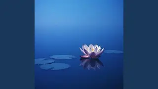 Soft Tension