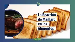C&oacute;mo la Reacci&oacute;n de Maillard Cambia el Sabor&hellip; y Puede Generar Acrilamida ⚠️ | Seminario MITA