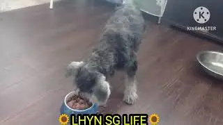 Три непослушных девчонки🤣✌️