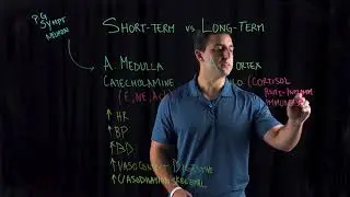 Short Term Stress vs Long Term Stress
