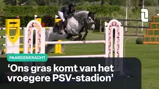 Op bezoek bij Peelbergen Equestrian Centre | Paardenkracht 🐎