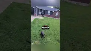 Delivery Guy Uses Special Item😂
