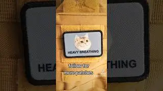 oh lawd he coming heavy breathing #shorts #cat