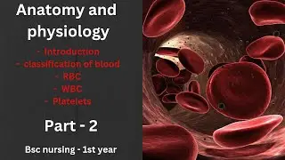 Blood// anatomy and physiology// blood introduction // RBC //WBC// platelet// Bsc nursing 1 st year